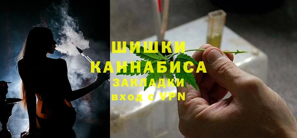 эйфоретик Гусев