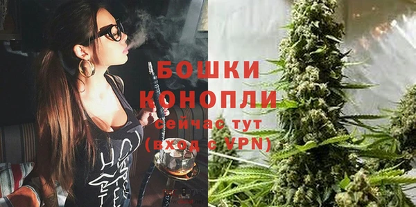 эйфоретик Гусев