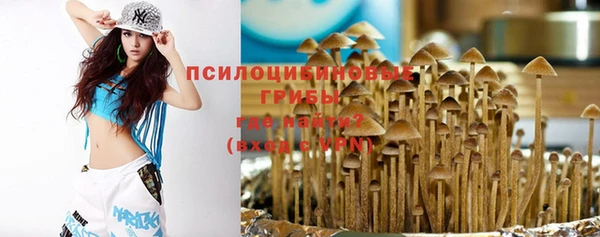 мдпв Горно-Алтайск