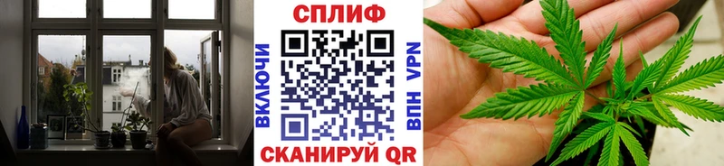 Канабис план  хочу   ссылка на мегу ТОР  Дмитровск 